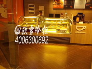 徐州冰淇淋展示柜多少钱